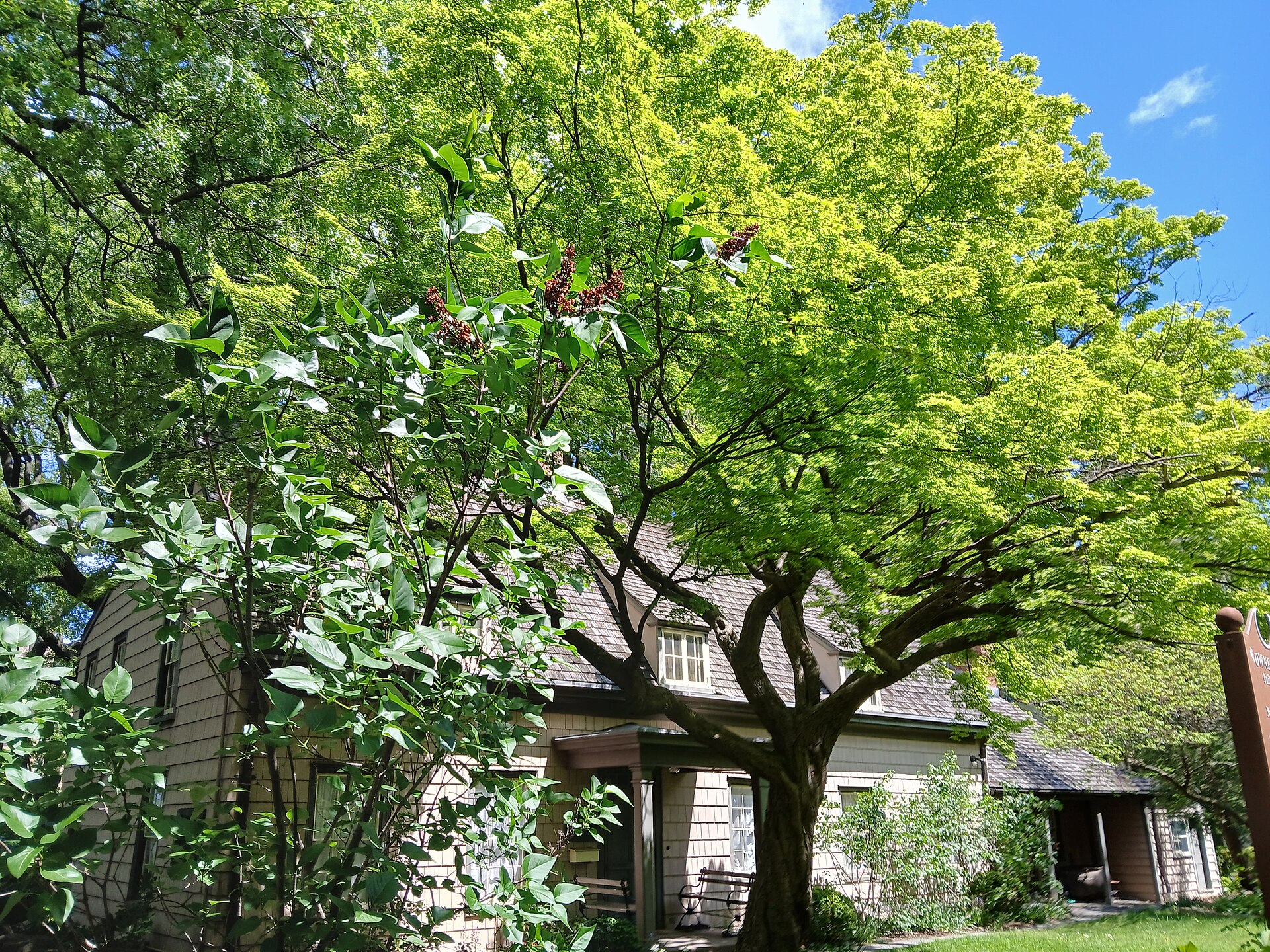 The John Bowne House in Flushing, Queens, New York, seen in May 2025