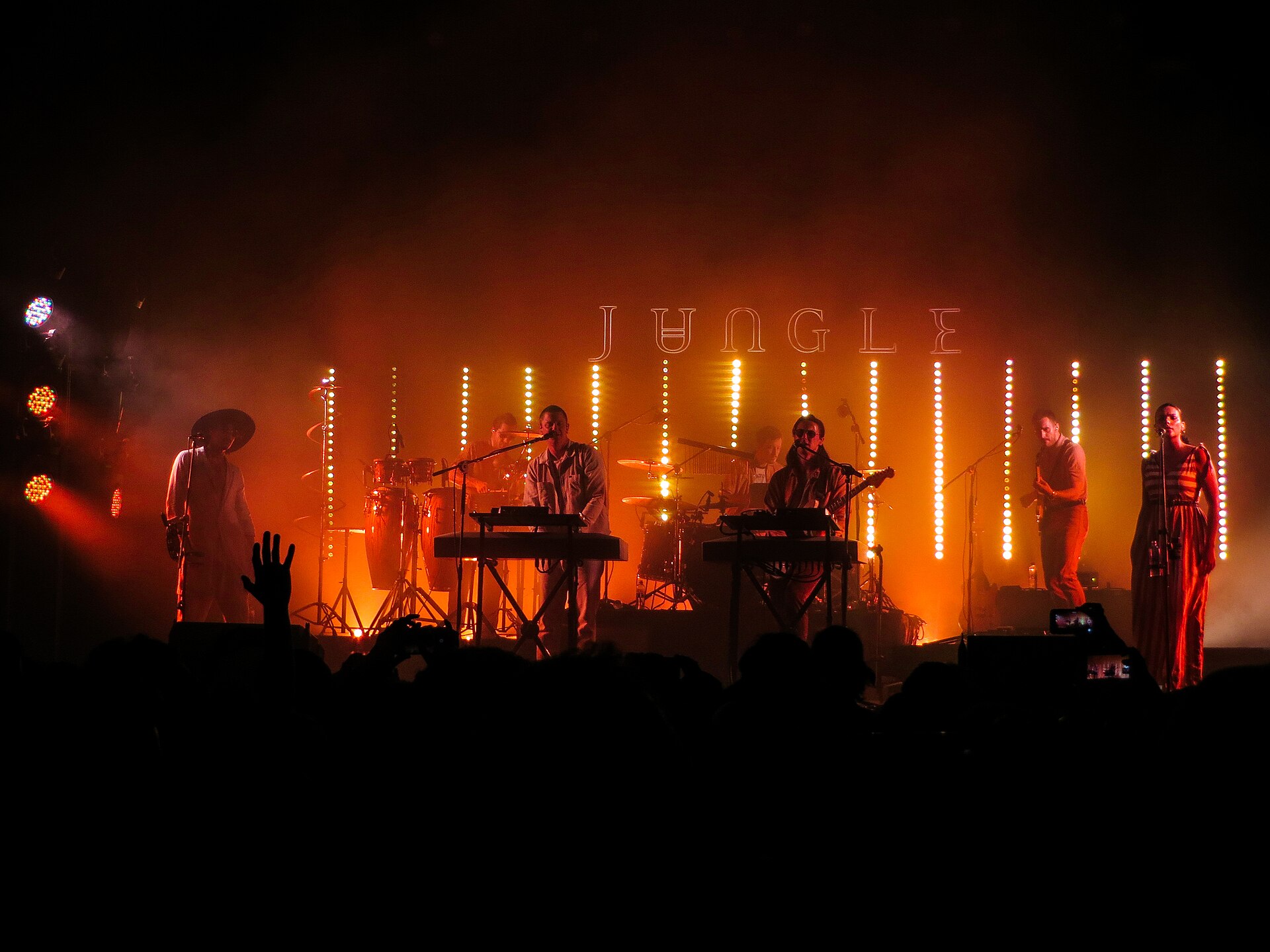 Jungle band playing live in Bogota DC, Colombia the 11th May 2019