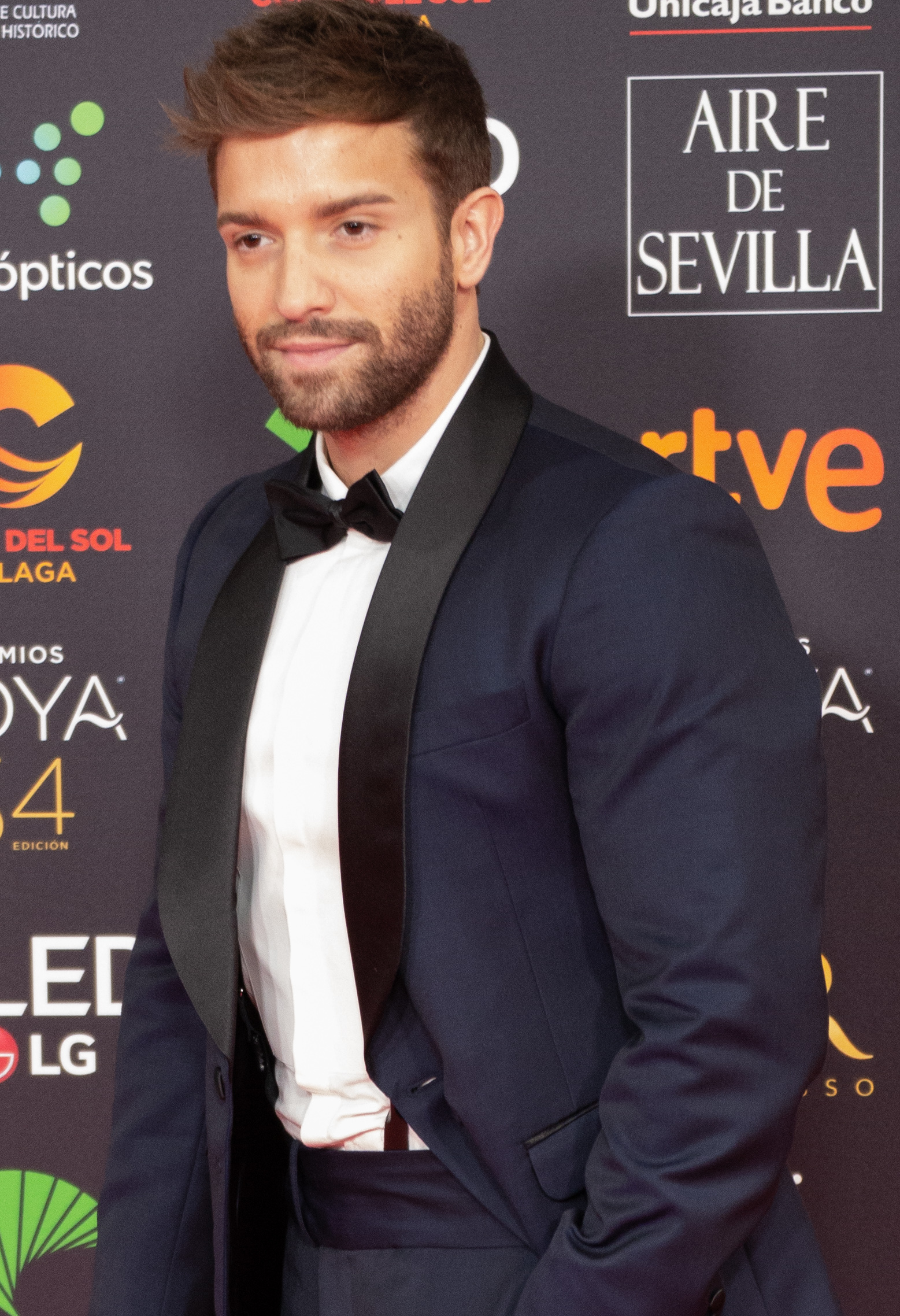 Pablo Alborán en la alfombra roja de la ceremonia de entrega de los Premios Goya 2020 celebrada en Málaga