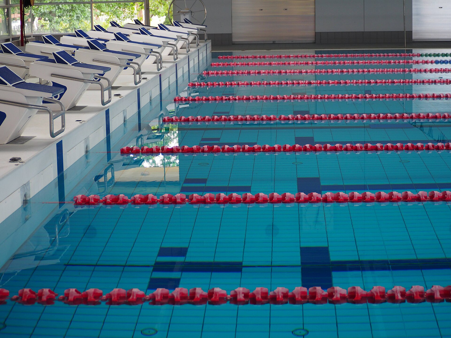 Starting blocks in a swimming pool with lanes. Image taken at AIS Training Centre